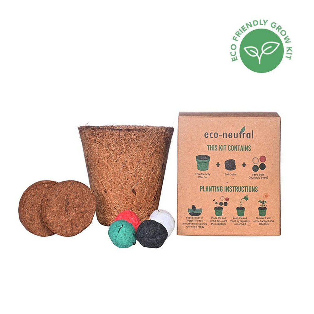 Eco Neutral Plantable Ghaf Seed Pen - Sustainable Writing Tool