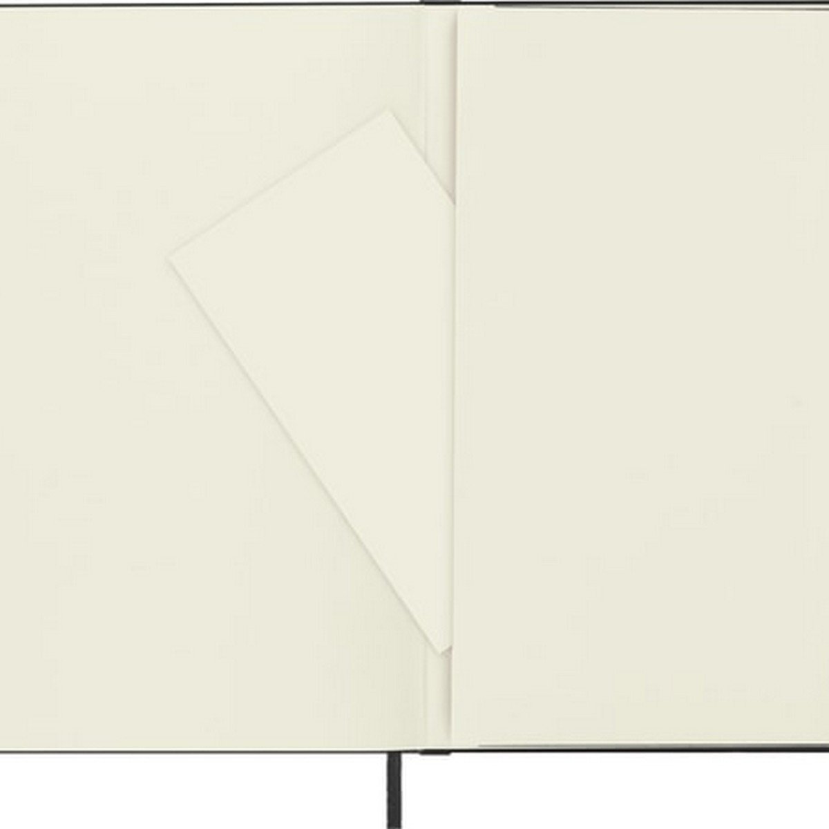 Moleskine Professional Notebook - XL Size for Business